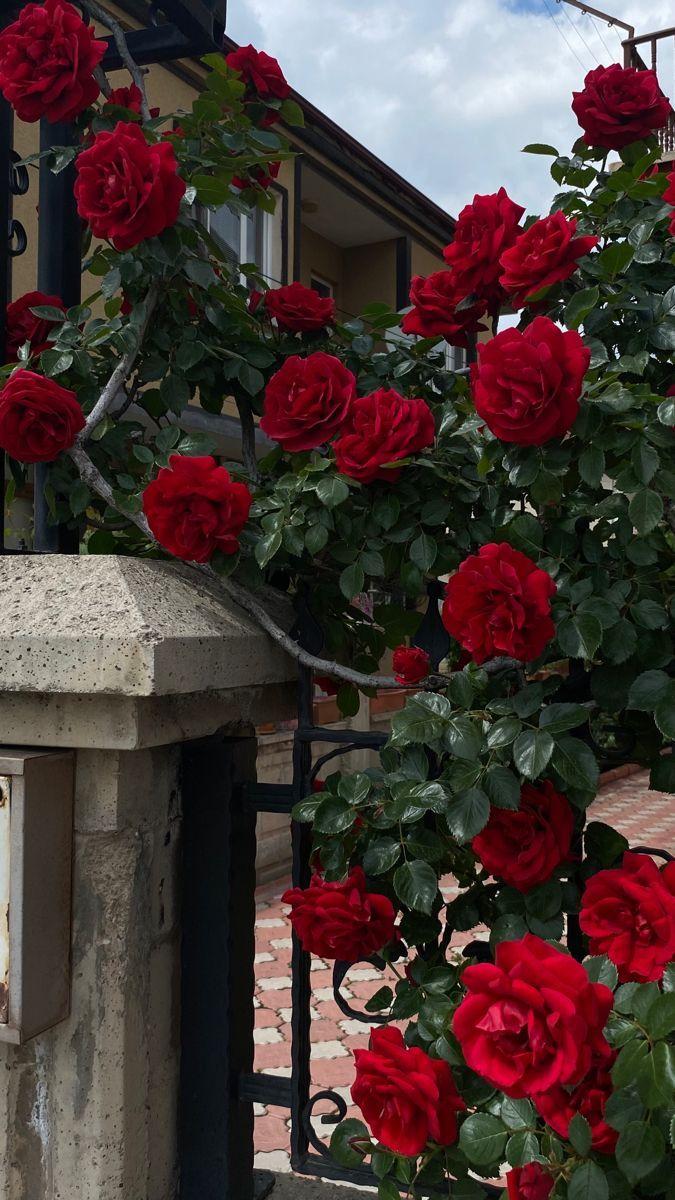 ShoreCanvasGrove workshop space where corporate flower arrangements are designed and prepared for business delivery